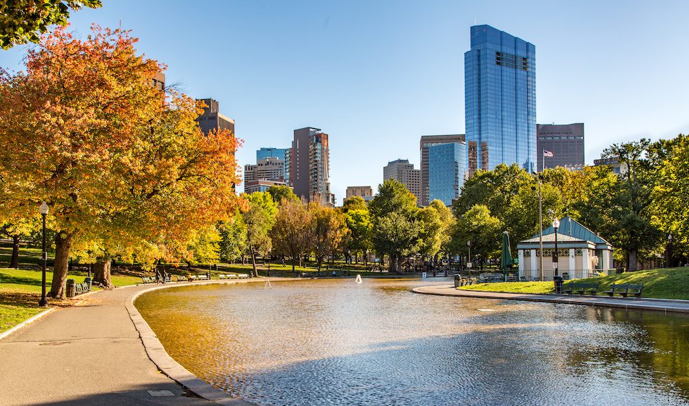 Boston City Skyline as Seen from Boston Common Public Park in Autumn